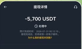 Privacy-protected 5700 USDT client payment record