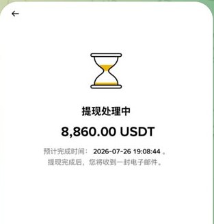 Privacy-protected 8860 USDT client payment record